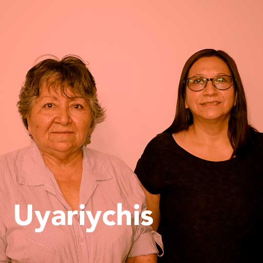 Uyariychis